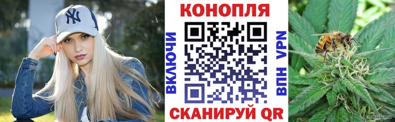 Бошки Шишки Bruce Banner Бокситогорск